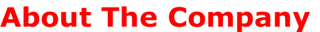 About The Company